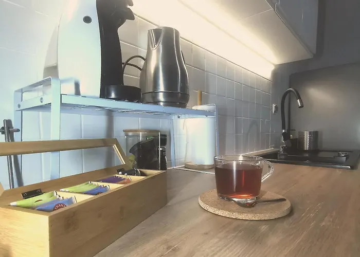 Serce Olsztyna Wyzwolenia Apartament *